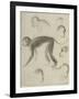 Sept singes-Georges Seurat-Framed Giclee Print