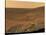 September 1, 2005, Panoramic View of Mars Taken from the Mars Exploration Rover-Stocktrek Images-Stretched Canvas