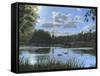 September Afternoon in Clumber Park-Richard Harpum-Framed Stretched Canvas