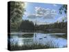 September Afternoon in Clumber Park-Richard Harpum-Stretched Canvas
