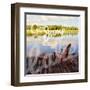 September Afternoon-Gail Peck-Framed Art Print