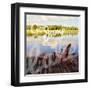 September Afternoon-Gail Peck-Framed Art Print