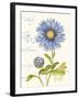 September Blue Aster-Ariane Sarah-Framed Art Print