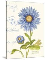 September Blue Aster-Ariane Sarah-Stretched Canvas