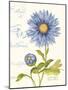 September Blue Aster-Ariane Sarah-Mounted Art Print