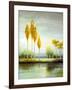 September Calm I-Michael Marcon-Framed Art Print