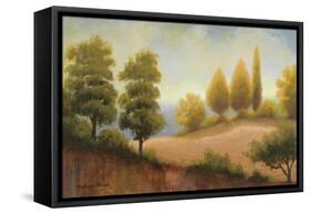 September Countryside-Michael Marcon-Framed Stretched Canvas