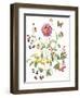 September Dahlia-Janneke Brinkman-Salentijn-Framed Giclee Print