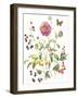 September Dahlia-Janneke Brinkman-Salentijn-Framed Giclee Print