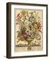 September, from 'Twelve Months of Flowers' by Robert Furber (C.1674-1756) Engraved by Henry Fletche-Pieter (after) Casteels-Framed Giclee Print