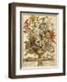 September, from 'Twelve Months of Flowers' by Robert Furber (C.1674-1756) Engraved by Henry Fletche-Pieter (after) Casteels-Framed Giclee Print