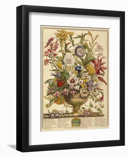 September, from 'Twelve Months of Flowers' by Robert Furber (C.1674-1756) Engraved by Henry Fletche-Pieter (after) Casteels-Framed Giclee Print