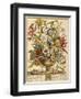 September, from 'Twelve Months of Flowers' by Robert Furber (C.1674-1756) Engraved by Henry Fletche-Pieter (after) Casteels-Framed Giclee Print