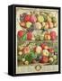 September, from "Twelve Months of Fruits", by Robert Furber, 1732-Pieter Casteels-Framed Stretched Canvas