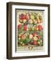 September, from "Twelve Months of Fruits", by Robert Furber, 1732-Pieter Casteels-Framed Giclee Print