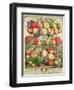 September, from "Twelve Months of Fruits", by Robert Furber, 1732-Pieter Casteels-Framed Giclee Print