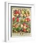 September, from "Twelve Months of Fruits", by Robert Furber, 1732-Pieter Casteels-Framed Giclee Print