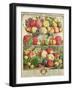 September, from "Twelve Months of Fruits", by Robert Furber, 1732-Pieter Casteels-Framed Giclee Print