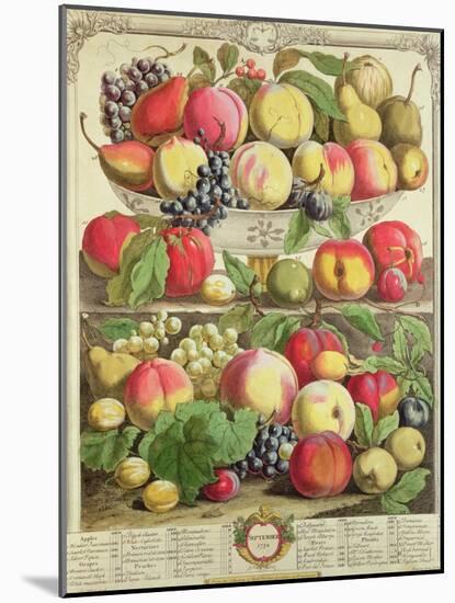 September, from "Twelve Months of Fruits", by Robert Furber, 1732-Pieter Casteels-Mounted Giclee Print