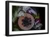 September Harvest-Valda Bailey-Framed Photographic Print