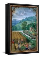 September: Harvesting, Ploughing and Sowing, from a Book of Hours, c.1540-Simon Bening-Framed Stretched Canvas