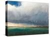 September Landscape-Wellington Studio-Stretched Canvas