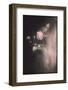 September Melancholia-Philippe Sainte-Laudy-Framed Photographic Print