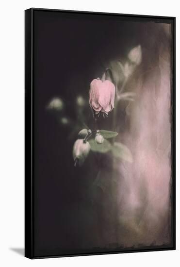 September Melancholia-Philippe Sainte-Laudy-Framed Stretched Canvas