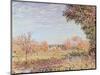 September Morning, circa 1887-Alfred Sisley-Mounted Premium Giclee Print