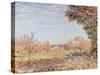 September Morning, circa 1887-Alfred Sisley-Stretched Canvas