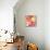 September Orange I-Irena Orlov-Mounted Giclee Print displayed on a wall