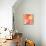 September Orange I-null-Mounted Art Print displayed on a wall