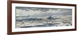 September Snow-Wilhelm Goebel-Framed Premium Giclee Print