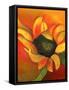 September Sunflower, 2011,-Nancy Moniz Charalambous-Framed Stretched Canvas