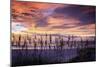 September Sunrise III-Alan Hausenflock-Mounted Photographic Print