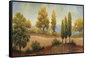 September Vista-Michael Marcon-Framed Stretched Canvas