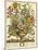 September-Robert Furber-Mounted Giclee Print