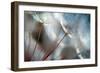 September-Ursula Abresch-Framed Premium Photographic Print