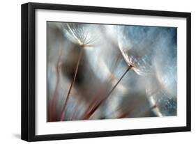 September-Ursula Abresch-Framed Photographic Print