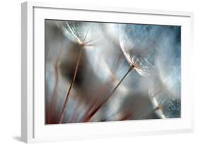 September-Ursula Abresch-Framed Photographic Print