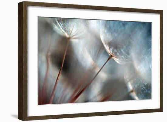 September-Ursula Abresch-Framed Photographic Print