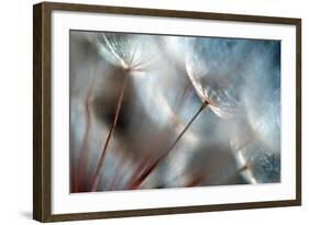 September-Ursula Abresch-Framed Photographic Print