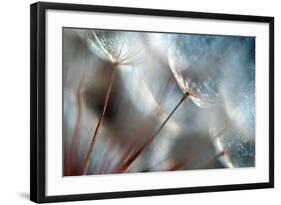 September-Ursula Abresch-Framed Photographic Print