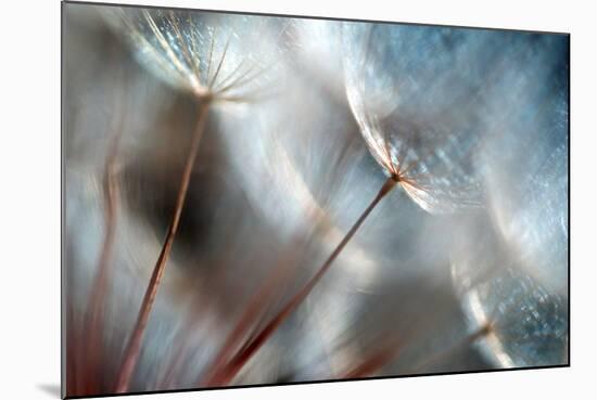 September-Ursula Abresch-Mounted Photographic Print