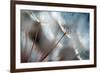 September-Ursula Abresch-Framed Photographic Print