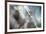 September-Ursula Abresch-Framed Photographic Print