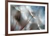 September-Ursula Abresch-Framed Photographic Print