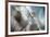 September-Ursula Abresch-Framed Photographic Print