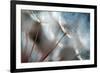 September-Ursula Abresch-Framed Photographic Print