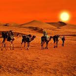 The Berbesky Tribe Passes the Desert in Africa-seqoya-Photographic Print